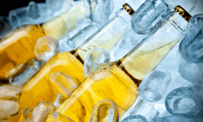 Аналитики системы маркировки «Честный знак» изучили тренды продаж пива в период с сентября 2024-го по декабрь 2025 года